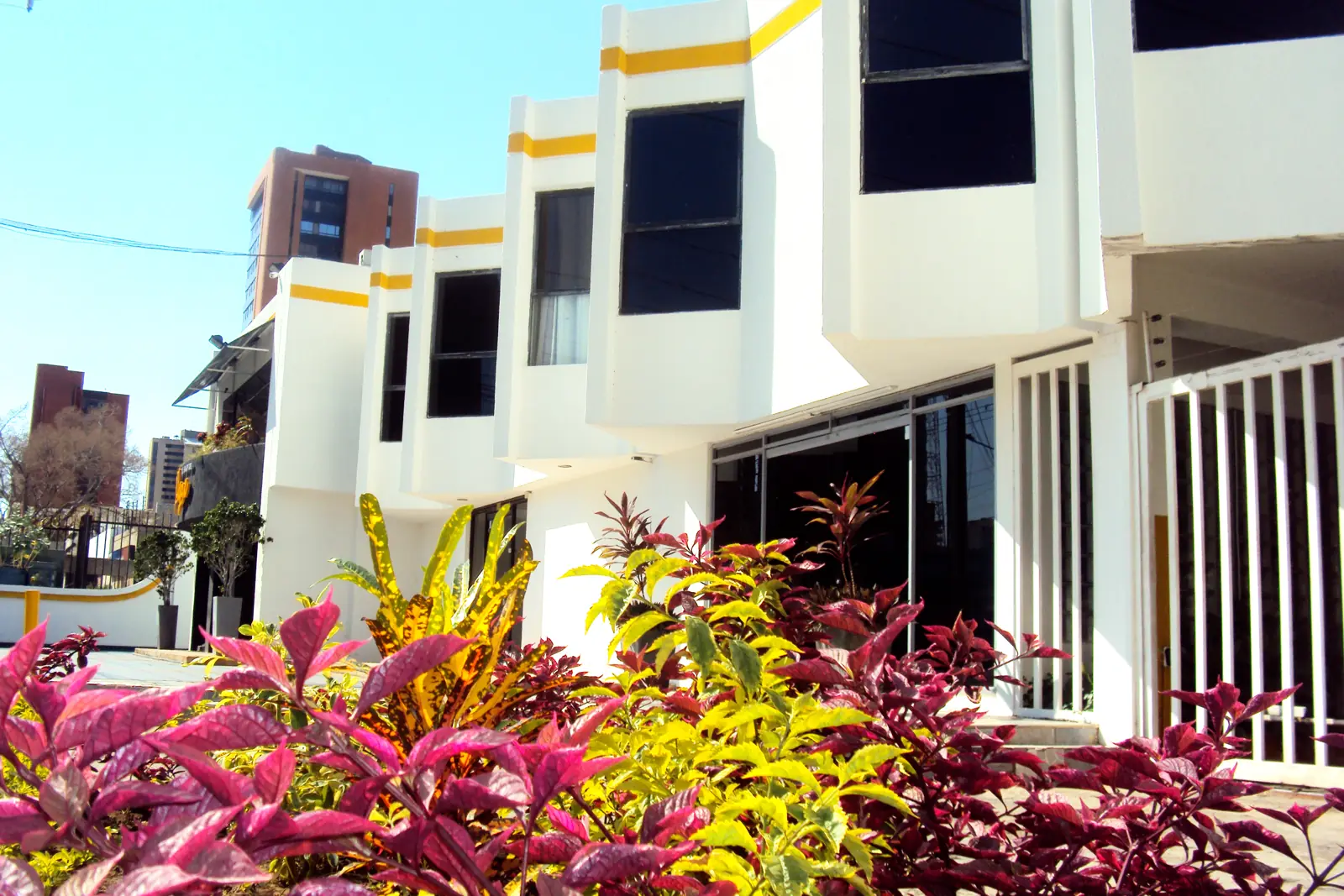 Plantas de colores frente a las habitaciones