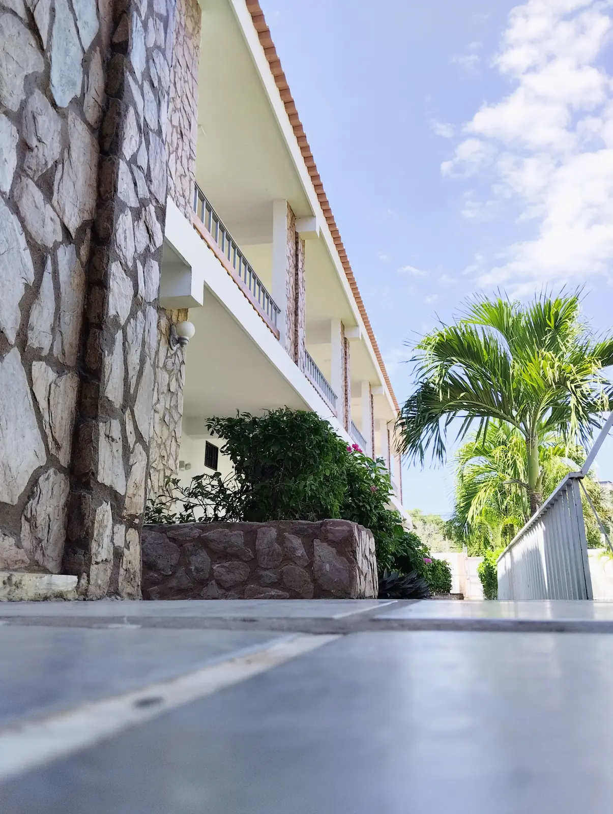 Terraza con muro de piedra y palmeras